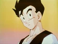 CuteAdultGohan