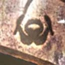 LocustGlyph-QUEEN.jpg (4 KB) LocustGlyph-QUEEN