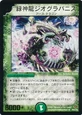 Dm-p54-y5