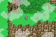 FFV Flower Trap