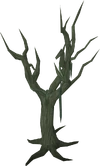 Swamp Tree