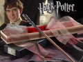 Neville's Wand.jpg