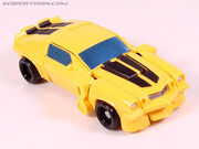 R legendsbumblebee015