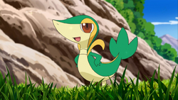 http://images1.wikia.nocookie.net/__cb20110512151348/pokemony/pl/images/archive/1/1a/20110519191232!Ash_Snivy.png