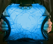 Casket winters