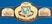 WCW World Tag Team Championship icon2