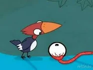 Imageswoodpecker