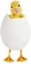 Hatchling