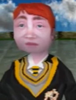 Hufflepuff Duelling Champion