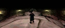 Slytherin Duelling Dungeon