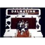 Dalmation34