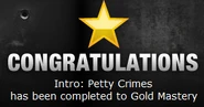 Petty Crimes Gold