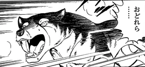 Kisa34