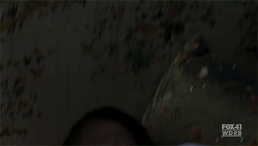 Quick-Journey-GIFS-quinn-and-puck-12859558-374-211