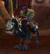 RaiderBork