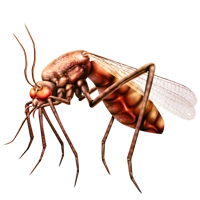 Huge item mosquito 01.png