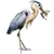 Item greatblueheron 01