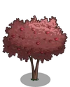 Cherry Plum Tree2-icon
