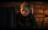 Witcher2-boussy
