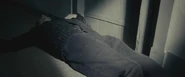 James Potter dead
