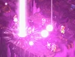 FFTA2 Sanctify