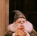 Prof Flitwick.PNG