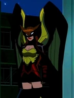 Hawkgirl Young Justice