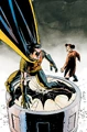 Robin Tim Drake 0051