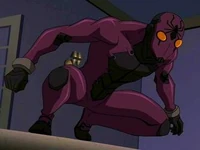Black Spider