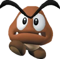 Baby Goomba
