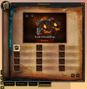 Companions tab