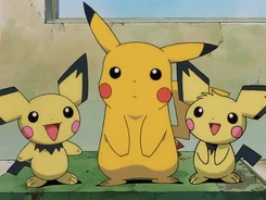 Pichu Brothers
