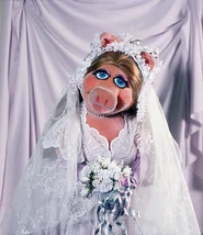 Wedding-piggy