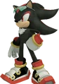 Shadow 7 Tails19950