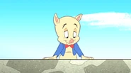 Porky Pig