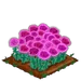 Electric Rose extra100