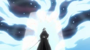 Byakuya Blocks Kido