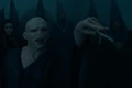 Voldy wand.JPG