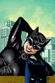 Catwoman 0017