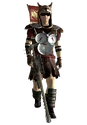 LegionVexillarius