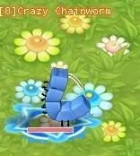 HKO Crazy Chainworm0013.JPG