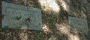 Beelerheadstones