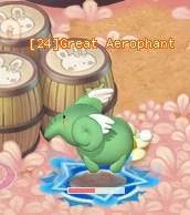 HKO Great Aerophant0016.JPG