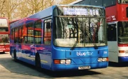 Bluestar 556 YG52 CEN