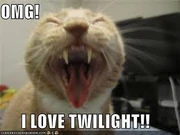 Funnytwicat