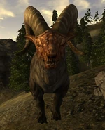 GruffBilly