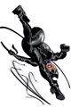 Catwoman 0042