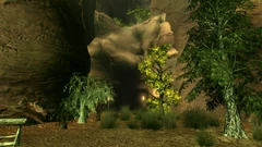 Angel Cave