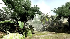 Mitis Forest Cliff