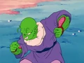 BuffNWarrior